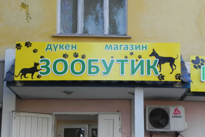 Казахстанцы предпочитают усыновлять здоровых детей раннего возраста